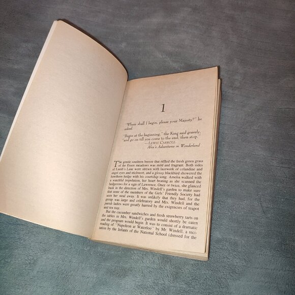 Book Beatrix Potter Victorian Mystery Death at Gallows Green Robin Paige England - Picture 7 of 8